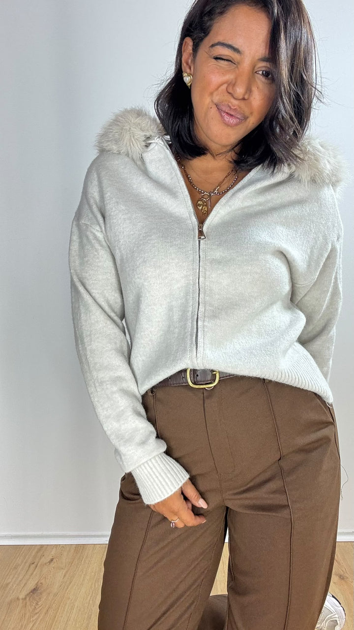 Cardigan Winter