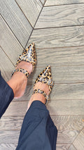 Sabot Leo